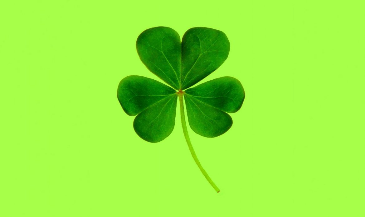 Trèfle à quatre feuille pour montrer qu'être prospecté peut être une opportunité