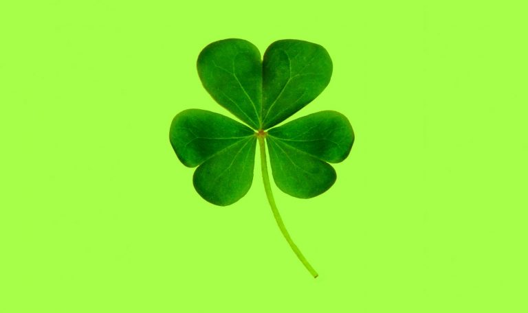 Trèfle à quatre feuille pour montrer qu'être prospecté peut être une opportunité